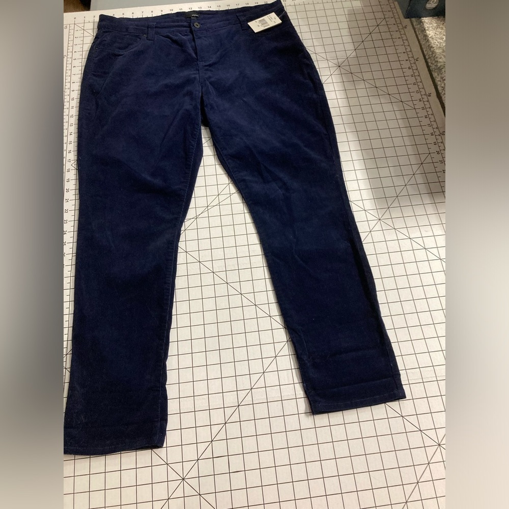 NWT Edyson Women’s 14W Maritime Blue Corduroy Pants